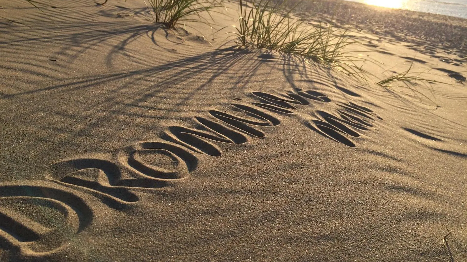 Dronningmolle Strandcamping Hotel København Campingplads